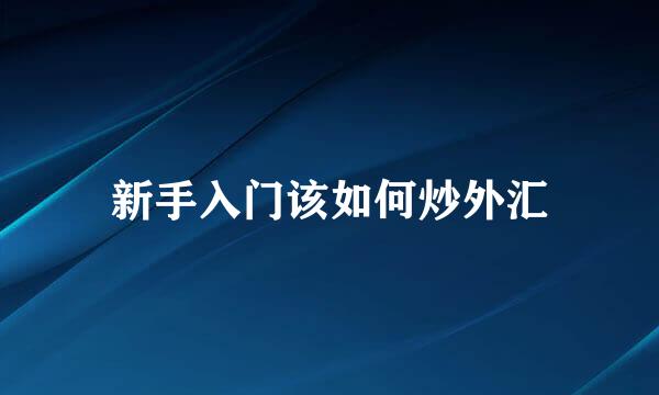 新手入门该如何炒外汇