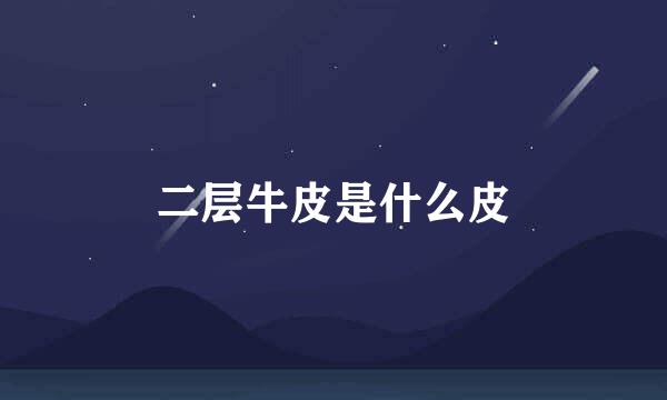 二层牛皮是什么皮