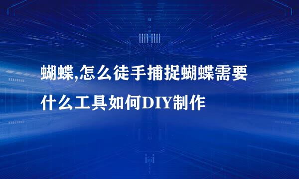 蝴蝶,怎么徒手捕捉蝴蝶需要什么工具如何DIY制作