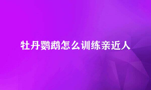 牡丹鹦鹉怎么训练亲近人