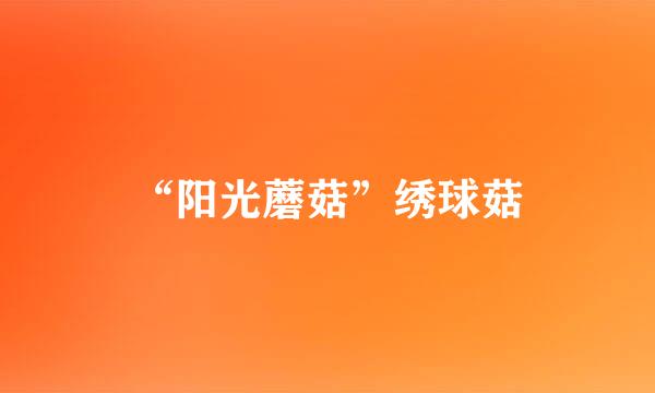 “阳光蘑菇”绣球菇