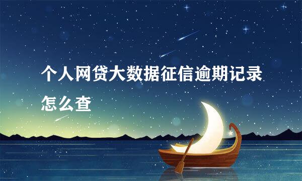 个人网贷大数据征信逾期记录怎么查