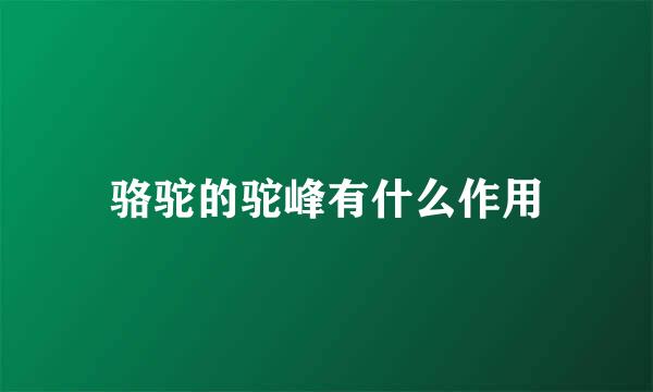 骆驼的驼峰有什么作用