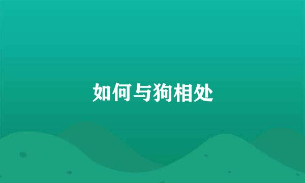 如何与狗相处