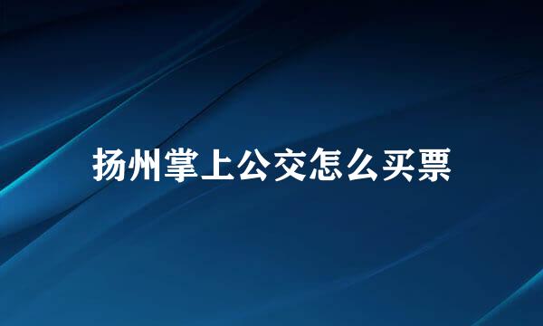 扬州掌上公交怎么买票