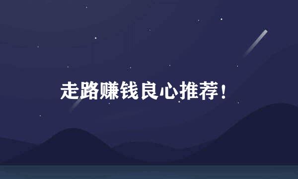 走路赚钱良心推荐！