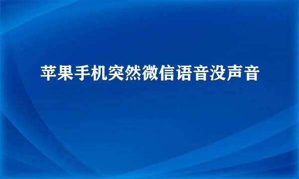 苹果手机突然微信语音没声音