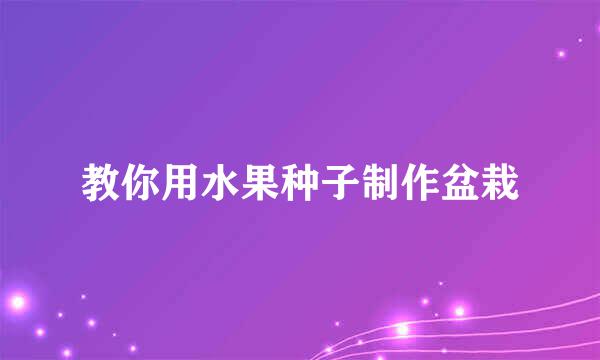 教你用水果种子制作盆栽