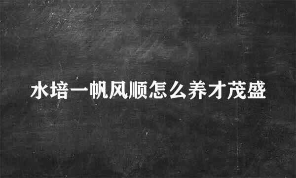 水培一帆风顺怎么养才茂盛