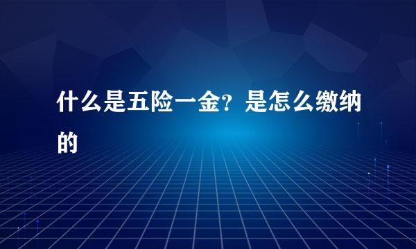 什么是五险一金？是怎么缴纳的