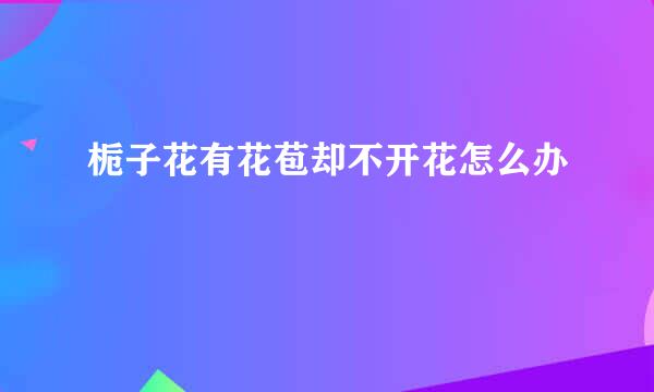栀子花有花苞却不开花怎么办