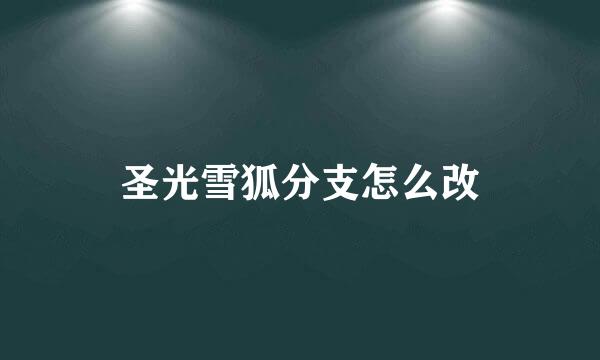 圣光雪狐分支怎么改