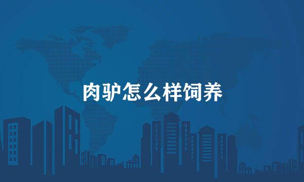 肉驴怎么样饲养