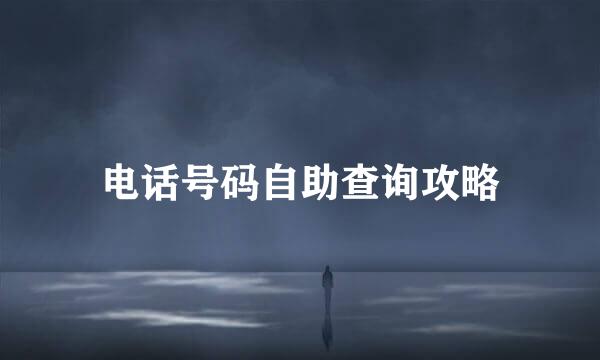 电话号码自助查询攻略