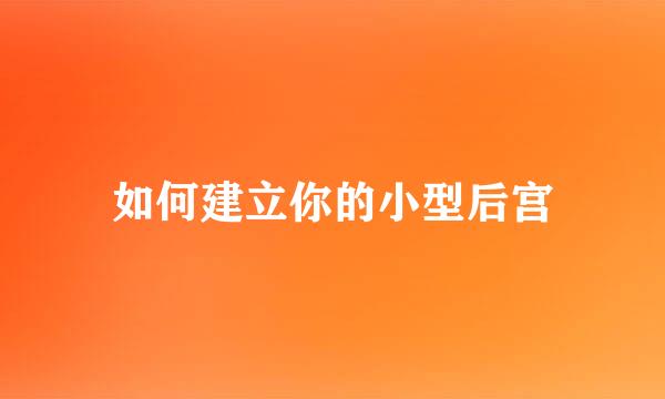 如何建立你的小型后宫