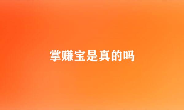 掌赚宝是真的吗