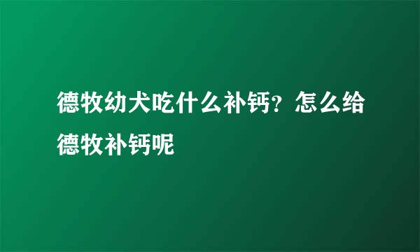 德牧幼犬吃什么补钙？怎么给德牧补钙呢