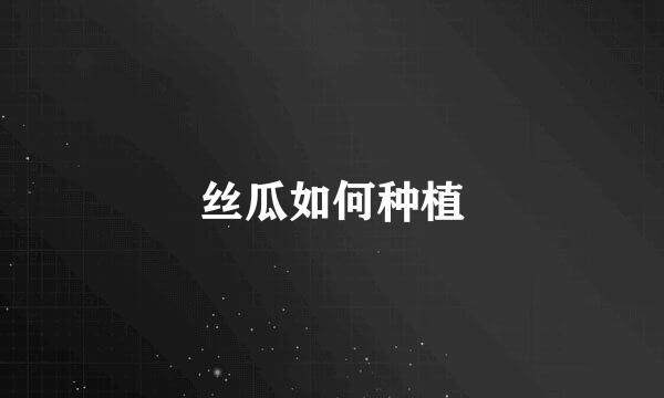 丝瓜如何种植