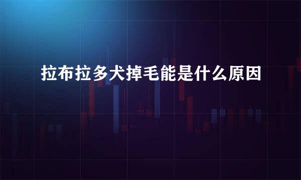 拉布拉多犬掉毛能是什么原因