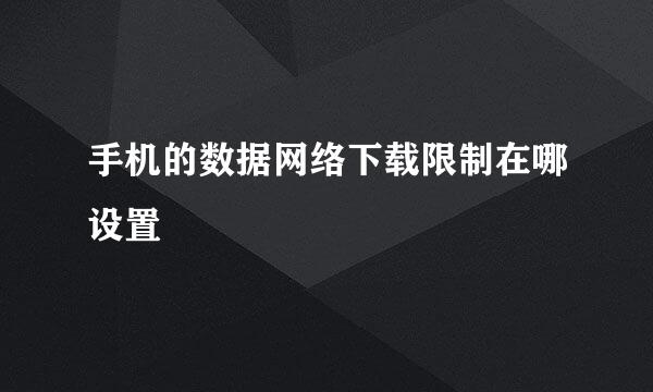手机的数据网络下载限制在哪设置