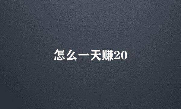 怎么一天赚20