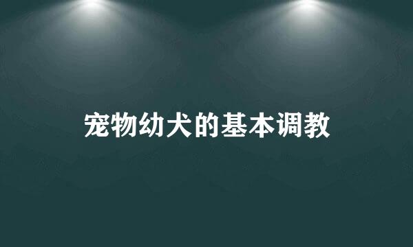 宠物幼犬的基本调教