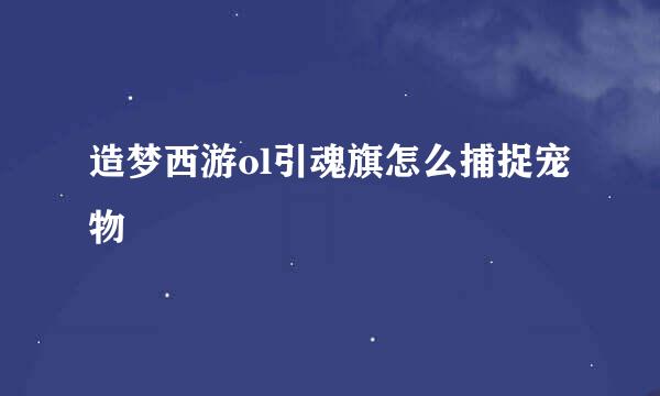 造梦西游ol引魂旗怎么捕捉宠物