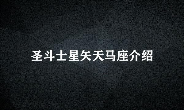 圣斗士星矢天马座介绍