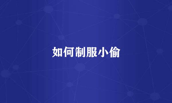 如何制服小偷