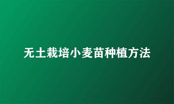 无土栽培小麦苗种植方法