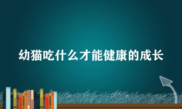 幼猫吃什么才能健康的成长