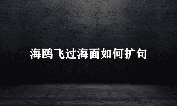 海鸥飞过海面如何扩句