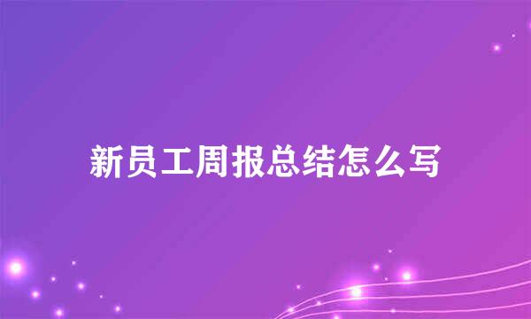 新员工周报总结怎么写