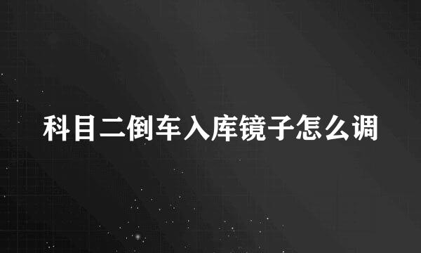 科目二倒车入库镜子怎么调