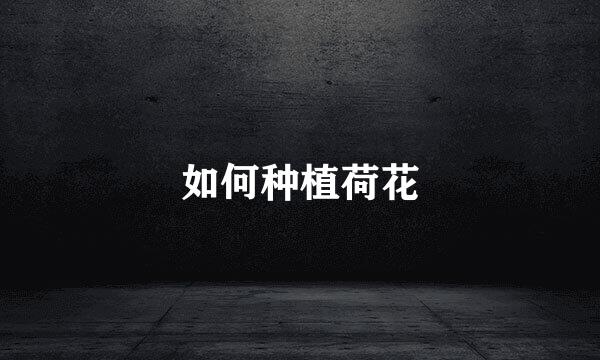 如何种植荷花