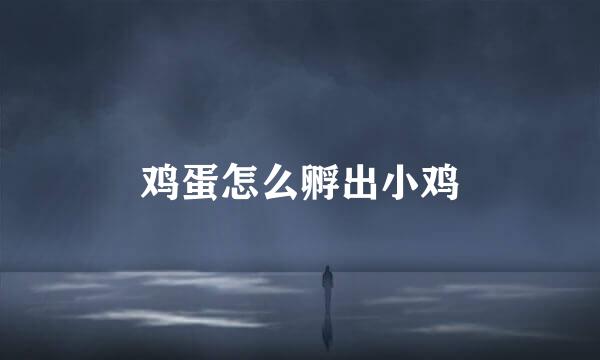 鸡蛋怎么孵出小鸡
