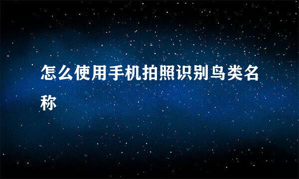 怎么使用手机拍照识别鸟类名称