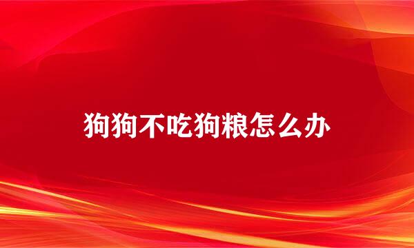 狗狗不吃狗粮怎么办