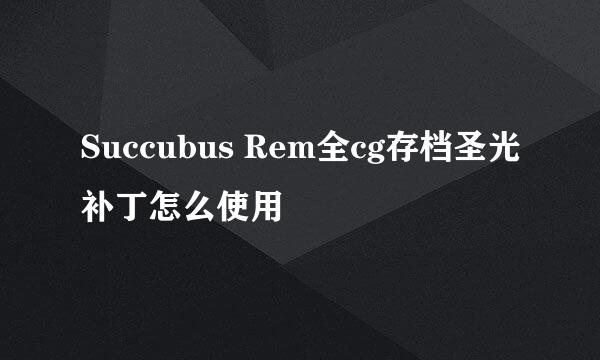 Succubus Rem全cg存档圣光补丁怎么使用