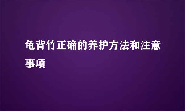 龟背竹正确的养护方法和注意事项