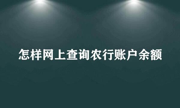 怎样网上查询农行账户余额