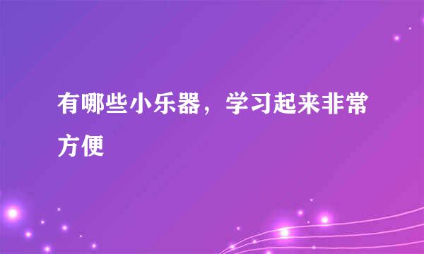 有哪些小乐器，学习起来非常方便