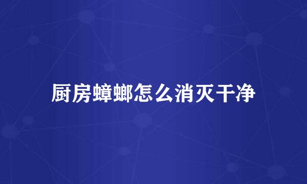 厨房蟑螂怎么消灭干净