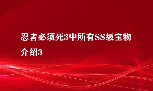 忍者必须死3中所有SS级宝物介绍3