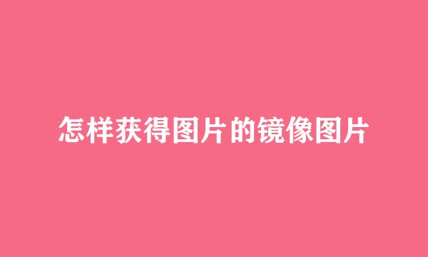 怎样获得图片的镜像图片