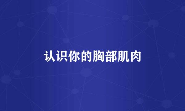 认识你的胸部肌肉