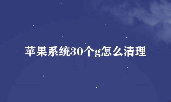 苹果系统30个g怎么清理