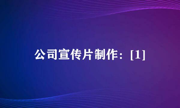 公司宣传片制作：[1]