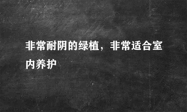 非常耐阴的绿植，非常适合室内养护