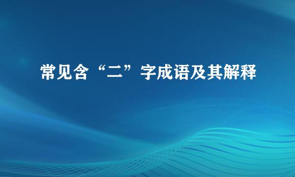 常见含“二”字成语及其解释